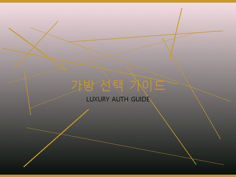 샤넬 레플리카 사이트 가방 선택 가이드